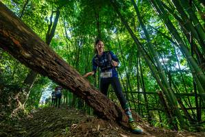 BIB: 
                            <button type="button" onclick="openModal(19068141)" class="btn btn-primary btn-sm float-right btn-popup" data-toggle="modal" data-target=".modal-high-quality">
                        <i class="fas fa-shopping-cart"></i> Add to Cart
                    </button>
                                            <button type="button" onclick="isThisMe(19068141, true)" class="btn btn-success btn-sm float-right btn-popup btn-isme hidden" data-toggle="tooltip" data-placement="bottom" title="นี่คือรูปของคุณใช่ไหม คลิกที่นี่เพื่อเอาเข้าอัลบั้ม">
                        <i class="fas fa-plus"></i> Add to album
                    </button>
                    <button type="button" onclick="isThisMe(19068141, false)" class="btn btn-warning btn-sm float-right btn-popup btn-isnotme hidden">
                        <i class="fas fa-ban"></i> Remove from album
                    </button>