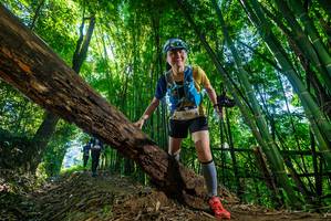 BIB: 
                            <button type="button" onclick="openModal(19058344)" class="btn btn-primary btn-sm float-right btn-popup" data-toggle="modal" data-target=".modal-high-quality">
                        <i class="fas fa-shopping-cart"></i> Add to Cart
                    </button>
                                            <button type="button" onclick="isThisMe(19058344, true)" class="btn btn-success btn-sm float-right btn-popup btn-isme hidden" data-toggle="tooltip" data-placement="bottom" title="นี่คือรูปของคุณใช่ไหม คลิกที่นี่เพื่อเอาเข้าอัลบั้ม">
                        <i class="fas fa-plus"></i> Add to album
                    </button>
                    <button type="button" onclick="isThisMe(19058344, false)" class="btn btn-warning btn-sm float-right btn-popup btn-isnotme hidden">
                        <i class="fas fa-ban"></i> Remove from album
                    </button>