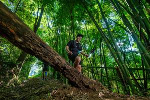 BIB: 
                            <button type="button" onclick="openModal(19068542)" class="btn btn-primary btn-sm float-right btn-popup" data-toggle="modal" data-target=".modal-high-quality">
                        <i class="fas fa-shopping-cart"></i> Add to Cart
                    </button>
                                            <button type="button" onclick="isThisMe(19068542, true)" class="btn btn-success btn-sm float-right btn-popup btn-isme hidden" data-toggle="tooltip" data-placement="bottom" title="นี่คือรูปของคุณใช่ไหม คลิกที่นี่เพื่อเอาเข้าอัลบั้ม">
                        <i class="fas fa-plus"></i> Add to album
                    </button>
                    <button type="button" onclick="isThisMe(19068542, false)" class="btn btn-warning btn-sm float-right btn-popup btn-isnotme hidden">
                        <i class="fas fa-ban"></i> Remove from album
                    </button>