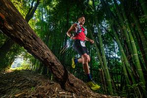 BIB: 
                            <button type="button" onclick="openModal(18986754)" class="btn btn-primary btn-sm float-right btn-popup" data-toggle="modal" data-target=".modal-high-quality">
                        <i class="fas fa-shopping-cart"></i> Add to Cart
                    </button>
                                            <button type="button" onclick="isThisMe(18986754, true)" class="btn btn-success btn-sm float-right btn-popup btn-isme hidden" data-toggle="tooltip" data-placement="bottom" title="นี่คือรูปของคุณใช่ไหม คลิกที่นี่เพื่อเอาเข้าอัลบั้ม">
                        <i class="fas fa-plus"></i> Add to album
                    </button>
                    <button type="button" onclick="isThisMe(18986754, false)" class="btn btn-warning btn-sm float-right btn-popup btn-isnotme hidden">
                        <i class="fas fa-ban"></i> Remove from album
                    </button>