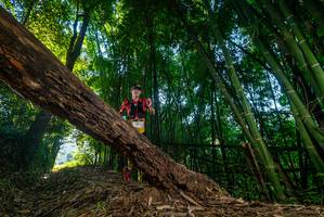 BIB: 
                            <button type="button" onclick="openModal(18987728)" class="btn btn-primary btn-sm float-right btn-popup" data-toggle="modal" data-target=".modal-high-quality">
                        <i class="fas fa-shopping-cart"></i> Add to Cart
                    </button>
                                            <button type="button" onclick="isThisMe(18987728, true)" class="btn btn-success btn-sm float-right btn-popup btn-isme hidden" data-toggle="tooltip" data-placement="bottom" title="นี่คือรูปของคุณใช่ไหม คลิกที่นี่เพื่อเอาเข้าอัลบั้ม">
                        <i class="fas fa-plus"></i> Add to album
                    </button>
                    <button type="button" onclick="isThisMe(18987728, false)" class="btn btn-warning btn-sm float-right btn-popup btn-isnotme hidden">
                        <i class="fas fa-ban"></i> Remove from album
                    </button>