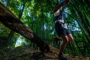 BIB: 412
                            <button type="button" onclick="openModal(18994674)" class="btn btn-primary btn-sm float-right btn-popup" data-toggle="modal" data-target=".modal-high-quality">
                        <i class="fas fa-shopping-cart"></i> Add to Cart
                    </button>
                                            <button type="button" onclick="isThisMe(18994674, true)" class="btn btn-success btn-sm float-right btn-popup btn-isme hidden" data-toggle="tooltip" data-placement="bottom" title="นี่คือรูปของคุณใช่ไหม คลิกที่นี่เพื่อเอาเข้าอัลบั้ม">
                        <i class="fas fa-plus"></i> Add to album
                    </button>
                    <button type="button" onclick="isThisMe(18994674, false)" class="btn btn-warning btn-sm float-right btn-popup btn-isnotme hidden">
                        <i class="fas fa-ban"></i> Remove from album
                    </button>