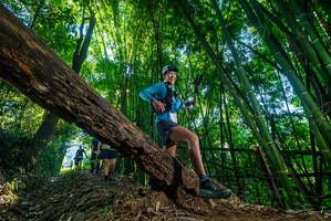 BIB: 
                            <button type="button" onclick="openModal(18997740)" class="btn btn-primary btn-sm float-right btn-popup" data-toggle="modal" data-target=".modal-high-quality">
                        <i class="fas fa-shopping-cart"></i> Add to Cart
                    </button>
                                            <button type="button" onclick="isThisMe(18997740, true)" class="btn btn-success btn-sm float-right btn-popup btn-isme hidden" data-toggle="tooltip" data-placement="bottom" title="นี่คือรูปของคุณใช่ไหม คลิกที่นี่เพื่อเอาเข้าอัลบั้ม">
                        <i class="fas fa-plus"></i> Add to album
                    </button>
                    <button type="button" onclick="isThisMe(18997740, false)" class="btn btn-warning btn-sm float-right btn-popup btn-isnotme hidden">
                        <i class="fas fa-ban"></i> Remove from album
                    </button>