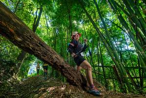 BIB: 
                            <button type="button" onclick="openModal(19069618)" class="btn btn-primary btn-sm float-right btn-popup" data-toggle="modal" data-target=".modal-high-quality">
                        <i class="fas fa-shopping-cart"></i> Add to Cart
                    </button>
                                            <button type="button" onclick="isThisMe(19069618, true)" class="btn btn-success btn-sm float-right btn-popup btn-isme hidden" data-toggle="tooltip" data-placement="bottom" title="นี่คือรูปของคุณใช่ไหม คลิกที่นี่เพื่อเอาเข้าอัลบั้ม">
                        <i class="fas fa-plus"></i> Add to album
                    </button>
                    <button type="button" onclick="isThisMe(19069618, false)" class="btn btn-warning btn-sm float-right btn-popup btn-isnotme hidden">
                        <i class="fas fa-ban"></i> Remove from album
                    </button>