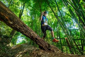 BIB: 
                            <button type="button" onclick="openModal(19071239)" class="btn btn-primary btn-sm float-right btn-popup" data-toggle="modal" data-target=".modal-high-quality">
                        <i class="fas fa-shopping-cart"></i> Add to Cart
                    </button>
                                            <button type="button" onclick="isThisMe(19071239, true)" class="btn btn-success btn-sm float-right btn-popup btn-isme hidden" data-toggle="tooltip" data-placement="bottom" title="นี่คือรูปของคุณใช่ไหม คลิกที่นี่เพื่อเอาเข้าอัลบั้ม">
                        <i class="fas fa-plus"></i> Add to album
                    </button>
                    <button type="button" onclick="isThisMe(19071239, false)" class="btn btn-warning btn-sm float-right btn-popup btn-isnotme hidden">
                        <i class="fas fa-ban"></i> Remove from album
                    </button>