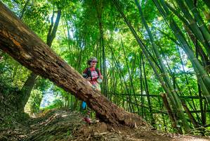 BIB: 
                            <button type="button" onclick="openModal(19071822)" class="btn btn-primary btn-sm float-right btn-popup" data-toggle="modal" data-target=".modal-high-quality">
                        <i class="fas fa-shopping-cart"></i> Add to Cart
                    </button>
                                            <button type="button" onclick="isThisMe(19071822, true)" class="btn btn-success btn-sm float-right btn-popup btn-isme hidden" data-toggle="tooltip" data-placement="bottom" title="นี่คือรูปของคุณใช่ไหม คลิกที่นี่เพื่อเอาเข้าอัลบั้ม">
                        <i class="fas fa-plus"></i> Add to album
                    </button>
                    <button type="button" onclick="isThisMe(19071822, false)" class="btn btn-warning btn-sm float-right btn-popup btn-isnotme hidden">
                        <i class="fas fa-ban"></i> Remove from album
                    </button>