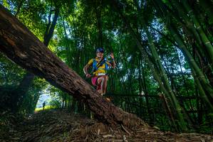 BIB: 
                            <button type="button" onclick="openModal(18990424)" class="btn btn-primary btn-sm float-right btn-popup" data-toggle="modal" data-target=".modal-high-quality">
                        <i class="fas fa-shopping-cart"></i> Add to Cart
                    </button>
                                            <button type="button" onclick="isThisMe(18990424, true)" class="btn btn-success btn-sm float-right btn-popup btn-isme hidden" data-toggle="tooltip" data-placement="bottom" title="นี่คือรูปของคุณใช่ไหม คลิกที่นี่เพื่อเอาเข้าอัลบั้ม">
                        <i class="fas fa-plus"></i> Add to album
                    </button>
                    <button type="button" onclick="isThisMe(18990424, false)" class="btn btn-warning btn-sm float-right btn-popup btn-isnotme hidden">
                        <i class="fas fa-ban"></i> Remove from album
                    </button>