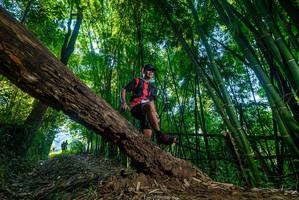 BIB: 
                            <button type="button" onclick="openModal(18999234)" class="btn btn-primary btn-sm float-right btn-popup" data-toggle="modal" data-target=".modal-high-quality">
                        <i class="fas fa-shopping-cart"></i> Add to Cart
                    </button>
                                            <button type="button" onclick="isThisMe(18999234, true)" class="btn btn-success btn-sm float-right btn-popup btn-isme hidden" data-toggle="tooltip" data-placement="bottom" title="นี่คือรูปของคุณใช่ไหม คลิกที่นี่เพื่อเอาเข้าอัลบั้ม">
                        <i class="fas fa-plus"></i> Add to album
                    </button>
                    <button type="button" onclick="isThisMe(18999234, false)" class="btn btn-warning btn-sm float-right btn-popup btn-isnotme hidden">
                        <i class="fas fa-ban"></i> Remove from album
                    </button>