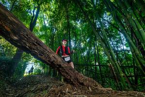 BIB: 
                            <button type="button" onclick="openModal(18990719)" class="btn btn-primary btn-sm float-right btn-popup" data-toggle="modal" data-target=".modal-high-quality">
                        <i class="fas fa-shopping-cart"></i> Add to Cart
                    </button>
                                            <button type="button" onclick="isThisMe(18990719, true)" class="btn btn-success btn-sm float-right btn-popup btn-isme hidden" data-toggle="tooltip" data-placement="bottom" title="นี่คือรูปของคุณใช่ไหม คลิกที่นี่เพื่อเอาเข้าอัลบั้ม">
                        <i class="fas fa-plus"></i> Add to album
                    </button>
                    <button type="button" onclick="isThisMe(18990719, false)" class="btn btn-warning btn-sm float-right btn-popup btn-isnotme hidden">
                        <i class="fas fa-ban"></i> Remove from album
                    </button>