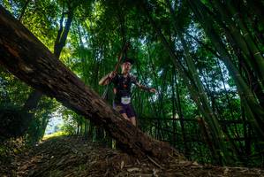 BIB: 
                            <button type="button" onclick="openModal(18989530)" class="btn btn-primary btn-sm float-right btn-popup" data-toggle="modal" data-target=".modal-high-quality">
                        <i class="fas fa-shopping-cart"></i> Add to Cart
                    </button>
                                            <button type="button" onclick="isThisMe(18989530, true)" class="btn btn-success btn-sm float-right btn-popup btn-isme hidden" data-toggle="tooltip" data-placement="bottom" title="นี่คือรูปของคุณใช่ไหม คลิกที่นี่เพื่อเอาเข้าอัลบั้ม">
                        <i class="fas fa-plus"></i> Add to album
                    </button>
                    <button type="button" onclick="isThisMe(18989530, false)" class="btn btn-warning btn-sm float-right btn-popup btn-isnotme hidden">
                        <i class="fas fa-ban"></i> Remove from album
                    </button>