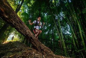 BIB: 
                            <button type="button" onclick="openModal(18986486)" class="btn btn-primary btn-sm float-right btn-popup" data-toggle="modal" data-target=".modal-high-quality">
                        <i class="fas fa-shopping-cart"></i> Add to Cart
                    </button>
                                            <button type="button" onclick="isThisMe(18986486, true)" class="btn btn-success btn-sm float-right btn-popup btn-isme hidden" data-toggle="tooltip" data-placement="bottom" title="นี่คือรูปของคุณใช่ไหม คลิกที่นี่เพื่อเอาเข้าอัลบั้ม">
                        <i class="fas fa-plus"></i> Add to album
                    </button>
                    <button type="button" onclick="isThisMe(18986486, false)" class="btn btn-warning btn-sm float-right btn-popup btn-isnotme hidden">
                        <i class="fas fa-ban"></i> Remove from album
                    </button>