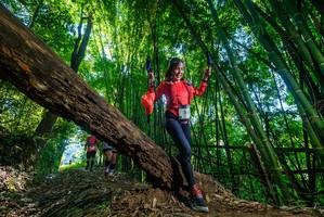 BIB: 
                            <button type="button" onclick="openModal(19000139)" class="btn btn-primary btn-sm float-right btn-popup" data-toggle="modal" data-target=".modal-high-quality">
                        <i class="fas fa-shopping-cart"></i> Add to Cart
                    </button>
                                            <button type="button" onclick="isThisMe(19000139, true)" class="btn btn-success btn-sm float-right btn-popup btn-isme hidden" data-toggle="tooltip" data-placement="bottom" title="นี่คือรูปของคุณใช่ไหม คลิกที่นี่เพื่อเอาเข้าอัลบั้ม">
                        <i class="fas fa-plus"></i> Add to album
                    </button>
                    <button type="button" onclick="isThisMe(19000139, false)" class="btn btn-warning btn-sm float-right btn-popup btn-isnotme hidden">
                        <i class="fas fa-ban"></i> Remove from album
                    </button>