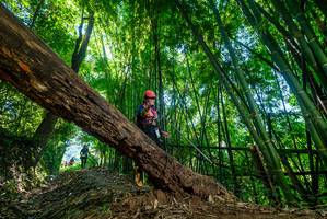 BIB: 
                            <button type="button" onclick="openModal(19055348)" class="btn btn-primary btn-sm float-right btn-popup" data-toggle="modal" data-target=".modal-high-quality">
                        <i class="fas fa-shopping-cart"></i> Add to Cart
                    </button>
                                            <button type="button" onclick="isThisMe(19055348, true)" class="btn btn-success btn-sm float-right btn-popup btn-isme hidden" data-toggle="tooltip" data-placement="bottom" title="นี่คือรูปของคุณใช่ไหม คลิกที่นี่เพื่อเอาเข้าอัลบั้ม">
                        <i class="fas fa-plus"></i> Add to album
                    </button>
                    <button type="button" onclick="isThisMe(19055348, false)" class="btn btn-warning btn-sm float-right btn-popup btn-isnotme hidden">
                        <i class="fas fa-ban"></i> Remove from album
                    </button>