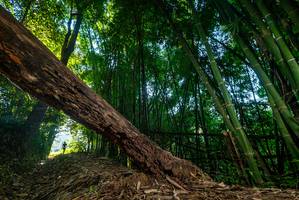 BIB: 
                            <button type="button" onclick="openModal(18987713)" class="btn btn-primary btn-sm float-right btn-popup" data-toggle="modal" data-target=".modal-high-quality">
                        <i class="fas fa-shopping-cart"></i> Add to Cart
                    </button>
                                            <button type="button" onclick="isThisMe(18987713, true)" class="btn btn-success btn-sm float-right btn-popup btn-isme hidden" data-toggle="tooltip" data-placement="bottom" title="นี่คือรูปของคุณใช่ไหม คลิกที่นี่เพื่อเอาเข้าอัลบั้ม">
                        <i class="fas fa-plus"></i> Add to album
                    </button>
                    <button type="button" onclick="isThisMe(18987713, false)" class="btn btn-warning btn-sm float-right btn-popup btn-isnotme hidden">
                        <i class="fas fa-ban"></i> Remove from album
                    </button>