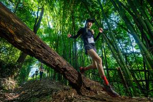 BIB: 
                            <button type="button" onclick="openModal(19001980)" class="btn btn-primary btn-sm float-right btn-popup" data-toggle="modal" data-target=".modal-high-quality">
                        <i class="fas fa-shopping-cart"></i> Add to Cart
                    </button>
                                            <button type="button" onclick="isThisMe(19001980, true)" class="btn btn-success btn-sm float-right btn-popup btn-isme hidden" data-toggle="tooltip" data-placement="bottom" title="นี่คือรูปของคุณใช่ไหม คลิกที่นี่เพื่อเอาเข้าอัลบั้ม">
                        <i class="fas fa-plus"></i> Add to album
                    </button>
                    <button type="button" onclick="isThisMe(19001980, false)" class="btn btn-warning btn-sm float-right btn-popup btn-isnotme hidden">
                        <i class="fas fa-ban"></i> Remove from album
                    </button>