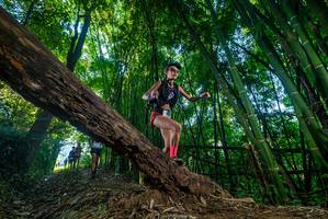 BIB: 
                            <button type="button" onclick="openModal(18992664)" class="btn btn-primary btn-sm float-right btn-popup" data-toggle="modal" data-target=".modal-high-quality">
                        <i class="fas fa-shopping-cart"></i> Add to Cart
                    </button>
                                            <button type="button" onclick="isThisMe(18992664, true)" class="btn btn-success btn-sm float-right btn-popup btn-isme hidden" data-toggle="tooltip" data-placement="bottom" title="นี่คือรูปของคุณใช่ไหม คลิกที่นี่เพื่อเอาเข้าอัลบั้ม">
                        <i class="fas fa-plus"></i> Add to album
                    </button>
                    <button type="button" onclick="isThisMe(18992664, false)" class="btn btn-warning btn-sm float-right btn-popup btn-isnotme hidden">
                        <i class="fas fa-ban"></i> Remove from album
                    </button>