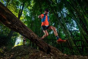 BIB: 
                            <button type="button" onclick="openModal(18988309)" class="btn btn-primary btn-sm float-right btn-popup" data-toggle="modal" data-target=".modal-high-quality">
                        <i class="fas fa-shopping-cart"></i> Add to Cart
                    </button>
                                            <button type="button" onclick="isThisMe(18988309, true)" class="btn btn-success btn-sm float-right btn-popup btn-isme hidden" data-toggle="tooltip" data-placement="bottom" title="นี่คือรูปของคุณใช่ไหม คลิกที่นี่เพื่อเอาเข้าอัลบั้ม">
                        <i class="fas fa-plus"></i> Add to album
                    </button>
                    <button type="button" onclick="isThisMe(18988309, false)" class="btn btn-warning btn-sm float-right btn-popup btn-isnotme hidden">
                        <i class="fas fa-ban"></i> Remove from album
                    </button>