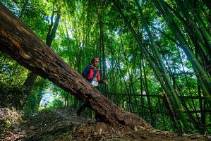 BIB: 
                            <button type="button" onclick="openModal(19001154)" class="btn btn-primary btn-sm float-right btn-popup" data-toggle="modal" data-target=".modal-high-quality">
                        <i class="fas fa-shopping-cart"></i> Add to Cart
                    </button>
                                            <button type="button" onclick="isThisMe(19001154, true)" class="btn btn-success btn-sm float-right btn-popup btn-isme hidden" data-toggle="tooltip" data-placement="bottom" title="นี่คือรูปของคุณใช่ไหม คลิกที่นี่เพื่อเอาเข้าอัลบั้ม">
                        <i class="fas fa-plus"></i> Add to album
                    </button>
                    <button type="button" onclick="isThisMe(19001154, false)" class="btn btn-warning btn-sm float-right btn-popup btn-isnotme hidden">
                        <i class="fas fa-ban"></i> Remove from album
                    </button>