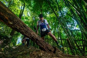 BIB: 2294
                            <button type="button" onclick="openModal(19064741)" class="btn btn-primary btn-sm float-right btn-popup" data-toggle="modal" data-target=".modal-high-quality">
                        <i class="fas fa-shopping-cart"></i> Add to Cart
                    </button>
                                            <button type="button" onclick="isThisMe(19064741, true)" class="btn btn-success btn-sm float-right btn-popup btn-isme hidden" data-toggle="tooltip" data-placement="bottom" title="นี่คือรูปของคุณใช่ไหม คลิกที่นี่เพื่อเอาเข้าอัลบั้ม">
                        <i class="fas fa-plus"></i> Add to album
                    </button>
                    <button type="button" onclick="isThisMe(19064741, false)" class="btn btn-warning btn-sm float-right btn-popup btn-isnotme hidden">
                        <i class="fas fa-ban"></i> Remove from album
                    </button>