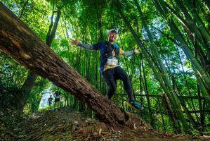 BIB: 2014
                            <button type="button" onclick="openModal(19060345)" class="btn btn-primary btn-sm float-right btn-popup" data-toggle="modal" data-target=".modal-high-quality">
                        <i class="fas fa-shopping-cart"></i> Add to Cart
                    </button>
                                            <button type="button" onclick="isThisMe(19060345, true)" class="btn btn-success btn-sm float-right btn-popup btn-isme hidden" data-toggle="tooltip" data-placement="bottom" title="นี่คือรูปของคุณใช่ไหม คลิกที่นี่เพื่อเอาเข้าอัลบั้ม">
                        <i class="fas fa-plus"></i> Add to album
                    </button>
                    <button type="button" onclick="isThisMe(19060345, false)" class="btn btn-warning btn-sm float-right btn-popup btn-isnotme hidden">
                        <i class="fas fa-ban"></i> Remove from album
                    </button>