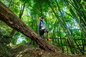 BIB: 
                            <button type="button" onclick="openModal(19071241)" class="btn btn-primary btn-sm float-right btn-popup" data-toggle="modal" data-target=".modal-high-quality">
                        <i class="fas fa-shopping-cart"></i> Add to Cart
                    </button>
                                            <button type="button" onclick="isThisMe(19071241, true)" class="btn btn-success btn-sm float-right btn-popup btn-isme hidden" data-toggle="tooltip" data-placement="bottom" title="นี่คือรูปของคุณใช่ไหม คลิกที่นี่เพื่อเอาเข้าอัลบั้ม">
                        <i class="fas fa-plus"></i> Add to album
                    </button>
                    <button type="button" onclick="isThisMe(19071241, false)" class="btn btn-warning btn-sm float-right btn-popup btn-isnotme hidden">
                        <i class="fas fa-ban"></i> Remove from album
                    </button>