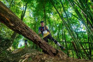 BIB: 2014
                            <button type="button" onclick="openModal(19070878)" class="btn btn-primary btn-sm float-right btn-popup" data-toggle="modal" data-target=".modal-high-quality">
                        <i class="fas fa-shopping-cart"></i> Add to Cart
                    </button>
                                            <button type="button" onclick="isThisMe(19070878, true)" class="btn btn-success btn-sm float-right btn-popup btn-isme hidden" data-toggle="tooltip" data-placement="bottom" title="นี่คือรูปของคุณใช่ไหม คลิกที่นี่เพื่อเอาเข้าอัลบั้ม">
                        <i class="fas fa-plus"></i> Add to album
                    </button>
                    <button type="button" onclick="isThisMe(19070878, false)" class="btn btn-warning btn-sm float-right btn-popup btn-isnotme hidden">
                        <i class="fas fa-ban"></i> Remove from album
                    </button>