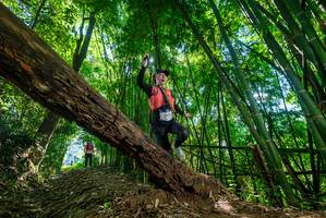 BIB: 
                            <button type="button" onclick="openModal(19067690)" class="btn btn-primary btn-sm float-right btn-popup" data-toggle="modal" data-target=".modal-high-quality">
                        <i class="fas fa-shopping-cart"></i> Add to Cart
                    </button>
                                            <button type="button" onclick="isThisMe(19067690, true)" class="btn btn-success btn-sm float-right btn-popup btn-isme hidden" data-toggle="tooltip" data-placement="bottom" title="นี่คือรูปของคุณใช่ไหม คลิกที่นี่เพื่อเอาเข้าอัลบั้ม">
                        <i class="fas fa-plus"></i> Add to album
                    </button>
                    <button type="button" onclick="isThisMe(19067690, false)" class="btn btn-warning btn-sm float-right btn-popup btn-isnotme hidden">
                        <i class="fas fa-ban"></i> Remove from album
                    </button>