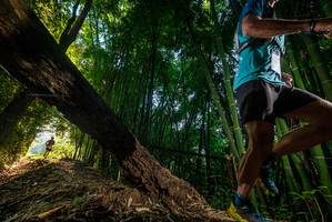 BIB: 
                            <button type="button" onclick="openModal(18986261)" class="btn btn-primary btn-sm float-right btn-popup" data-toggle="modal" data-target=".modal-high-quality">
                        <i class="fas fa-shopping-cart"></i> Add to Cart
                    </button>
                                            <button type="button" onclick="isThisMe(18986261, true)" class="btn btn-success btn-sm float-right btn-popup btn-isme hidden" data-toggle="tooltip" data-placement="bottom" title="นี่คือรูปของคุณใช่ไหม คลิกที่นี่เพื่อเอาเข้าอัลบั้ม">
                        <i class="fas fa-plus"></i> Add to album
                    </button>
                    <button type="button" onclick="isThisMe(18986261, false)" class="btn btn-warning btn-sm float-right btn-popup btn-isnotme hidden">
                        <i class="fas fa-ban"></i> Remove from album
                    </button>