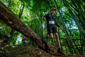 BIB: 3068
                            <button type="button" onclick="openModal(19064788)" class="btn btn-primary btn-sm float-right btn-popup" data-toggle="modal" data-target=".modal-high-quality">
                        <i class="fas fa-shopping-cart"></i> Add to Cart
                    </button>
                                            <button type="button" onclick="isThisMe(19064788, true)" class="btn btn-success btn-sm float-right btn-popup btn-isme hidden" data-toggle="tooltip" data-placement="bottom" title="นี่คือรูปของคุณใช่ไหม คลิกที่นี่เพื่อเอาเข้าอัลบั้ม">
                        <i class="fas fa-plus"></i> Add to album
                    </button>
                    <button type="button" onclick="isThisMe(19064788, false)" class="btn btn-warning btn-sm float-right btn-popup btn-isnotme hidden">
                        <i class="fas fa-ban"></i> Remove from album
                    </button>