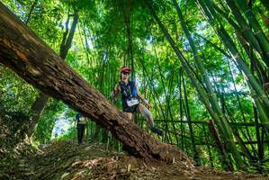 BIB: 
                            <button type="button" onclick="openModal(19069825)" class="btn btn-primary btn-sm float-right btn-popup" data-toggle="modal" data-target=".modal-high-quality">
                        <i class="fas fa-shopping-cart"></i> Add to Cart
                    </button>
                                            <button type="button" onclick="isThisMe(19069825, true)" class="btn btn-success btn-sm float-right btn-popup btn-isme hidden" data-toggle="tooltip" data-placement="bottom" title="นี่คือรูปของคุณใช่ไหม คลิกที่นี่เพื่อเอาเข้าอัลบั้ม">
                        <i class="fas fa-plus"></i> Add to album
                    </button>
                    <button type="button" onclick="isThisMe(19069825, false)" class="btn btn-warning btn-sm float-right btn-popup btn-isnotme hidden">
                        <i class="fas fa-ban"></i> Remove from album
                    </button>