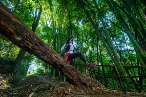 BIB: 
                            <button type="button" onclick="openModal(18998240)" class="btn btn-primary btn-sm float-right btn-popup" data-toggle="modal" data-target=".modal-high-quality">
                        <i class="fas fa-shopping-cart"></i> Add to Cart
                    </button>
                                            <button type="button" onclick="isThisMe(18998240, true)" class="btn btn-success btn-sm float-right btn-popup btn-isme hidden" data-toggle="tooltip" data-placement="bottom" title="นี่คือรูปของคุณใช่ไหม คลิกที่นี่เพื่อเอาเข้าอัลบั้ม">
                        <i class="fas fa-plus"></i> Add to album
                    </button>
                    <button type="button" onclick="isThisMe(18998240, false)" class="btn btn-warning btn-sm float-right btn-popup btn-isnotme hidden">
                        <i class="fas fa-ban"></i> Remove from album
                    </button>