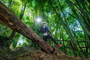 BIB: 
                            <button type="button" onclick="openModal(19057111)" class="btn btn-primary btn-sm float-right btn-popup" data-toggle="modal" data-target=".modal-high-quality">
                        <i class="fas fa-shopping-cart"></i> Add to Cart
                    </button>
                                            <button type="button" onclick="isThisMe(19057111, true)" class="btn btn-success btn-sm float-right btn-popup btn-isme hidden" data-toggle="tooltip" data-placement="bottom" title="นี่คือรูปของคุณใช่ไหม คลิกที่นี่เพื่อเอาเข้าอัลบั้ม">
                        <i class="fas fa-plus"></i> Add to album
                    </button>
                    <button type="button" onclick="isThisMe(19057111, false)" class="btn btn-warning btn-sm float-right btn-popup btn-isnotme hidden">
                        <i class="fas fa-ban"></i> Remove from album
                    </button>