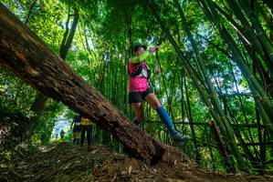 BIB: 
                            <button type="button" onclick="openModal(19064826)" class="btn btn-primary btn-sm float-right btn-popup" data-toggle="modal" data-target=".modal-high-quality">
                        <i class="fas fa-shopping-cart"></i> Add to Cart
                    </button>
                                            <button type="button" onclick="isThisMe(19064826, true)" class="btn btn-success btn-sm float-right btn-popup btn-isme hidden" data-toggle="tooltip" data-placement="bottom" title="นี่คือรูปของคุณใช่ไหม คลิกที่นี่เพื่อเอาเข้าอัลบั้ม">
                        <i class="fas fa-plus"></i> Add to album
                    </button>
                    <button type="button" onclick="isThisMe(19064826, false)" class="btn btn-warning btn-sm float-right btn-popup btn-isnotme hidden">
                        <i class="fas fa-ban"></i> Remove from album
                    </button>