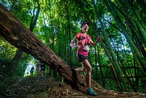 BIB: 
                            <button type="button" onclick="openModal(18989297)" class="btn btn-primary btn-sm float-right btn-popup" data-toggle="modal" data-target=".modal-high-quality">
                        <i class="fas fa-shopping-cart"></i> Add to Cart
                    </button>
                                            <button type="button" onclick="isThisMe(18989297, true)" class="btn btn-success btn-sm float-right btn-popup btn-isme hidden" data-toggle="tooltip" data-placement="bottom" title="นี่คือรูปของคุณใช่ไหม คลิกที่นี่เพื่อเอาเข้าอัลบั้ม">
                        <i class="fas fa-plus"></i> Add to album
                    </button>
                    <button type="button" onclick="isThisMe(18989297, false)" class="btn btn-warning btn-sm float-right btn-popup btn-isnotme hidden">
                        <i class="fas fa-ban"></i> Remove from album
                    </button>