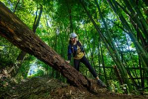 BIB: 
                            <button type="button" onclick="openModal(19066238)" class="btn btn-primary btn-sm float-right btn-popup" data-toggle="modal" data-target=".modal-high-quality">
                        <i class="fas fa-shopping-cart"></i> Add to Cart
                    </button>
                                            <button type="button" onclick="isThisMe(19066238, true)" class="btn btn-success btn-sm float-right btn-popup btn-isme hidden" data-toggle="tooltip" data-placement="bottom" title="นี่คือรูปของคุณใช่ไหม คลิกที่นี่เพื่อเอาเข้าอัลบั้ม">
                        <i class="fas fa-plus"></i> Add to album
                    </button>
                    <button type="button" onclick="isThisMe(19066238, false)" class="btn btn-warning btn-sm float-right btn-popup btn-isnotme hidden">
                        <i class="fas fa-ban"></i> Remove from album
                    </button>