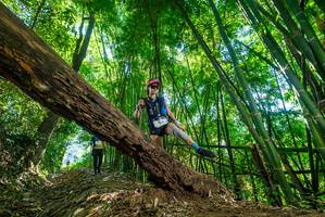 BIB: 
                            <button type="button" onclick="openModal(19069830)" class="btn btn-primary btn-sm float-right btn-popup" data-toggle="modal" data-target=".modal-high-quality">
                        <i class="fas fa-shopping-cart"></i> Add to Cart
                    </button>
                                            <button type="button" onclick="isThisMe(19069830, true)" class="btn btn-success btn-sm float-right btn-popup btn-isme hidden" data-toggle="tooltip" data-placement="bottom" title="นี่คือรูปของคุณใช่ไหม คลิกที่นี่เพื่อเอาเข้าอัลบั้ม">
                        <i class="fas fa-plus"></i> Add to album
                    </button>
                    <button type="button" onclick="isThisMe(19069830, false)" class="btn btn-warning btn-sm float-right btn-popup btn-isnotme hidden">
                        <i class="fas fa-ban"></i> Remove from album
                    </button>