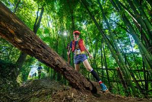 BIB: 
                            <button type="button" onclick="openModal(19057179)" class="btn btn-primary btn-sm float-right btn-popup" data-toggle="modal" data-target=".modal-high-quality">
                        <i class="fas fa-shopping-cart"></i> Add to Cart
                    </button>
                                            <button type="button" onclick="isThisMe(19057179, true)" class="btn btn-success btn-sm float-right btn-popup btn-isme hidden" data-toggle="tooltip" data-placement="bottom" title="นี่คือรูปของคุณใช่ไหม คลิกที่นี่เพื่อเอาเข้าอัลบั้ม">
                        <i class="fas fa-plus"></i> Add to album
                    </button>
                    <button type="button" onclick="isThisMe(19057179, false)" class="btn btn-warning btn-sm float-right btn-popup btn-isnotme hidden">
                        <i class="fas fa-ban"></i> Remove from album
                    </button>