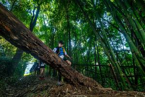 BIB: 
                            <button type="button" onclick="openModal(18990315)" class="btn btn-primary btn-sm float-right btn-popup" data-toggle="modal" data-target=".modal-high-quality">
                        <i class="fas fa-shopping-cart"></i> Add to Cart
                    </button>
                                            <button type="button" onclick="isThisMe(18990315, true)" class="btn btn-success btn-sm float-right btn-popup btn-isme hidden" data-toggle="tooltip" data-placement="bottom" title="นี่คือรูปของคุณใช่ไหม คลิกที่นี่เพื่อเอาเข้าอัลบั้ม">
                        <i class="fas fa-plus"></i> Add to album
                    </button>
                    <button type="button" onclick="isThisMe(18990315, false)" class="btn btn-warning btn-sm float-right btn-popup btn-isnotme hidden">
                        <i class="fas fa-ban"></i> Remove from album
                    </button>