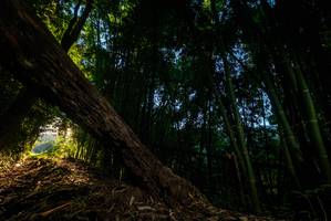 BIB: 
                            <button type="button" onclick="openModal(18986125)" class="btn btn-primary btn-sm float-right btn-popup" data-toggle="modal" data-target=".modal-high-quality">
                        <i class="fas fa-shopping-cart"></i> Add to Cart
                    </button>
                                            <button type="button" onclick="isThisMe(18986125, true)" class="btn btn-success btn-sm float-right btn-popup btn-isme hidden" data-toggle="tooltip" data-placement="bottom" title="นี่คือรูปของคุณใช่ไหม คลิกที่นี่เพื่อเอาเข้าอัลบั้ม">
                        <i class="fas fa-plus"></i> Add to album
                    </button>
                    <button type="button" onclick="isThisMe(18986125, false)" class="btn btn-warning btn-sm float-right btn-popup btn-isnotme hidden">
                        <i class="fas fa-ban"></i> Remove from album
                    </button>