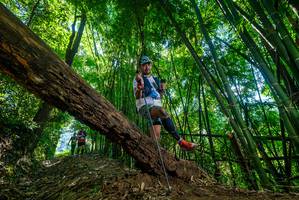 BIB: 
                            <button type="button" onclick="openModal(19064956)" class="btn btn-primary btn-sm float-right btn-popup" data-toggle="modal" data-target=".modal-high-quality">
                        <i class="fas fa-shopping-cart"></i> Add to Cart
                    </button>
                                            <button type="button" onclick="isThisMe(19064956, true)" class="btn btn-success btn-sm float-right btn-popup btn-isme hidden" data-toggle="tooltip" data-placement="bottom" title="นี่คือรูปของคุณใช่ไหม คลิกที่นี่เพื่อเอาเข้าอัลบั้ม">
                        <i class="fas fa-plus"></i> Add to album
                    </button>
                    <button type="button" onclick="isThisMe(19064956, false)" class="btn btn-warning btn-sm float-right btn-popup btn-isnotme hidden">
                        <i class="fas fa-ban"></i> Remove from album
                    </button>