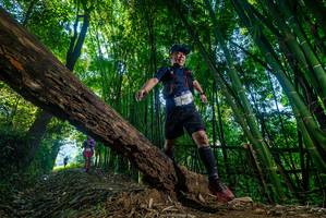 BIB: 3000
                            <button type="button" onclick="openModal(18996187)" class="btn btn-primary btn-sm float-right btn-popup" data-toggle="modal" data-target=".modal-high-quality">
                        <i class="fas fa-shopping-cart"></i> Add to Cart
                    </button>
                                            <button type="button" onclick="isThisMe(18996187, true)" class="btn btn-success btn-sm float-right btn-popup btn-isme hidden" data-toggle="tooltip" data-placement="bottom" title="นี่คือรูปของคุณใช่ไหม คลิกที่นี่เพื่อเอาเข้าอัลบั้ม">
                        <i class="fas fa-plus"></i> Add to album
                    </button>
                    <button type="button" onclick="isThisMe(18996187, false)" class="btn btn-warning btn-sm float-right btn-popup btn-isnotme hidden">
                        <i class="fas fa-ban"></i> Remove from album
                    </button>