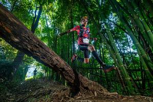 BIB: 
                            <button type="button" onclick="openModal(18988730)" class="btn btn-primary btn-sm float-right btn-popup" data-toggle="modal" data-target=".modal-high-quality">
                        <i class="fas fa-shopping-cart"></i> Add to Cart
                    </button>
                                            <button type="button" onclick="isThisMe(18988730, true)" class="btn btn-success btn-sm float-right btn-popup btn-isme hidden" data-toggle="tooltip" data-placement="bottom" title="นี่คือรูปของคุณใช่ไหม คลิกที่นี่เพื่อเอาเข้าอัลบั้ม">
                        <i class="fas fa-plus"></i> Add to album
                    </button>
                    <button type="button" onclick="isThisMe(18988730, false)" class="btn btn-warning btn-sm float-right btn-popup btn-isnotme hidden">
                        <i class="fas fa-ban"></i> Remove from album
                    </button>