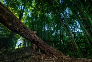 BIB: 
                            <button type="button" onclick="openModal(18991253)" class="btn btn-primary btn-sm float-right btn-popup" data-toggle="modal" data-target=".modal-high-quality">
                        <i class="fas fa-shopping-cart"></i> Add to Cart
                    </button>
                                            <button type="button" onclick="isThisMe(18991253, true)" class="btn btn-success btn-sm float-right btn-popup btn-isme hidden" data-toggle="tooltip" data-placement="bottom" title="นี่คือรูปของคุณใช่ไหม คลิกที่นี่เพื่อเอาเข้าอัลบั้ม">
                        <i class="fas fa-plus"></i> Add to album
                    </button>
                    <button type="button" onclick="isThisMe(18991253, false)" class="btn btn-warning btn-sm float-right btn-popup btn-isnotme hidden">
                        <i class="fas fa-ban"></i> Remove from album
                    </button>