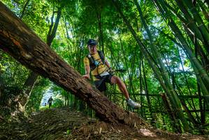 BIB: 
                            <button type="button" onclick="openModal(19067574)" class="btn btn-primary btn-sm float-right btn-popup" data-toggle="modal" data-target=".modal-high-quality">
                        <i class="fas fa-shopping-cart"></i> Add to Cart
                    </button>
                                            <button type="button" onclick="isThisMe(19067574, true)" class="btn btn-success btn-sm float-right btn-popup btn-isme hidden" data-toggle="tooltip" data-placement="bottom" title="นี่คือรูปของคุณใช่ไหม คลิกที่นี่เพื่อเอาเข้าอัลบั้ม">
                        <i class="fas fa-plus"></i> Add to album
                    </button>
                    <button type="button" onclick="isThisMe(19067574, false)" class="btn btn-warning btn-sm float-right btn-popup btn-isnotme hidden">
                        <i class="fas fa-ban"></i> Remove from album
                    </button>