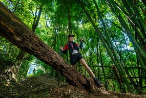 BIB: 
                            <button type="button" onclick="openModal(19067340)" class="btn btn-primary btn-sm float-right btn-popup" data-toggle="modal" data-target=".modal-high-quality">
                        <i class="fas fa-shopping-cart"></i> Add to Cart
                    </button>
                                            <button type="button" onclick="isThisMe(19067340, true)" class="btn btn-success btn-sm float-right btn-popup btn-isme hidden" data-toggle="tooltip" data-placement="bottom" title="นี่คือรูปของคุณใช่ไหม คลิกที่นี่เพื่อเอาเข้าอัลบั้ม">
                        <i class="fas fa-plus"></i> Add to album
                    </button>
                    <button type="button" onclick="isThisMe(19067340, false)" class="btn btn-warning btn-sm float-right btn-popup btn-isnotme hidden">
                        <i class="fas fa-ban"></i> Remove from album
                    </button>