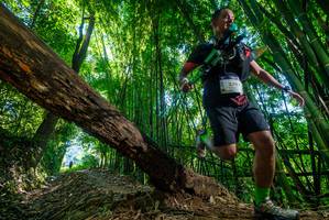 BIB: 274
                            <button type="button" onclick="openModal(19055349)" class="btn btn-primary btn-sm float-right btn-popup" data-toggle="modal" data-target=".modal-high-quality">
                        <i class="fas fa-shopping-cart"></i> Add to Cart
                    </button>
                                            <button type="button" onclick="isThisMe(19055349, true)" class="btn btn-success btn-sm float-right btn-popup btn-isme hidden" data-toggle="tooltip" data-placement="bottom" title="นี่คือรูปของคุณใช่ไหม คลิกที่นี่เพื่อเอาเข้าอัลบั้ม">
                        <i class="fas fa-plus"></i> Add to album
                    </button>
                    <button type="button" onclick="isThisMe(19055349, false)" class="btn btn-warning btn-sm float-right btn-popup btn-isnotme hidden">
                        <i class="fas fa-ban"></i> Remove from album
                    </button>