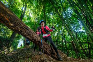 BIB: 
                            <button type="button" onclick="openModal(19055576)" class="btn btn-primary btn-sm float-right btn-popup" data-toggle="modal" data-target=".modal-high-quality">
                        <i class="fas fa-shopping-cart"></i> Add to Cart
                    </button>
                                            <button type="button" onclick="isThisMe(19055576, true)" class="btn btn-success btn-sm float-right btn-popup btn-isme hidden" data-toggle="tooltip" data-placement="bottom" title="นี่คือรูปของคุณใช่ไหม คลิกที่นี่เพื่อเอาเข้าอัลบั้ม">
                        <i class="fas fa-plus"></i> Add to album
                    </button>
                    <button type="button" onclick="isThisMe(19055576, false)" class="btn btn-warning btn-sm float-right btn-popup btn-isnotme hidden">
                        <i class="fas fa-ban"></i> Remove from album
                    </button>