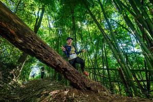 BIB: 
                            <button type="button" onclick="openModal(19069448)" class="btn btn-primary btn-sm float-right btn-popup" data-toggle="modal" data-target=".modal-high-quality">
                        <i class="fas fa-shopping-cart"></i> Add to Cart
                    </button>
                                            <button type="button" onclick="isThisMe(19069448, true)" class="btn btn-success btn-sm float-right btn-popup btn-isme hidden" data-toggle="tooltip" data-placement="bottom" title="นี่คือรูปของคุณใช่ไหม คลิกที่นี่เพื่อเอาเข้าอัลบั้ม">
                        <i class="fas fa-plus"></i> Add to album
                    </button>
                    <button type="button" onclick="isThisMe(19069448, false)" class="btn btn-warning btn-sm float-right btn-popup btn-isnotme hidden">
                        <i class="fas fa-ban"></i> Remove from album
                    </button>