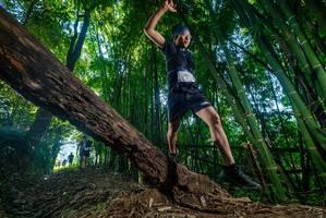 BIB: 3000
                            <button type="button" onclick="openModal(18997897)" class="btn btn-primary btn-sm float-right btn-popup" data-toggle="modal" data-target=".modal-high-quality">
                        <i class="fas fa-shopping-cart"></i> Add to Cart
                    </button>
                                            <button type="button" onclick="isThisMe(18997897, true)" class="btn btn-success btn-sm float-right btn-popup btn-isme hidden" data-toggle="tooltip" data-placement="bottom" title="นี่คือรูปของคุณใช่ไหม คลิกที่นี่เพื่อเอาเข้าอัลบั้ม">
                        <i class="fas fa-plus"></i> Add to album
                    </button>
                    <button type="button" onclick="isThisMe(18997897, false)" class="btn btn-warning btn-sm float-right btn-popup btn-isnotme hidden">
                        <i class="fas fa-ban"></i> Remove from album
                    </button>