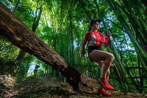 BIB: 
                            <button type="button" onclick="openModal(19001404)" class="btn btn-primary btn-sm float-right btn-popup" data-toggle="modal" data-target=".modal-high-quality">
                        <i class="fas fa-shopping-cart"></i> Add to Cart
                    </button>
                                            <button type="button" onclick="isThisMe(19001404, true)" class="btn btn-success btn-sm float-right btn-popup btn-isme hidden" data-toggle="tooltip" data-placement="bottom" title="นี่คือรูปของคุณใช่ไหม คลิกที่นี่เพื่อเอาเข้าอัลบั้ม">
                        <i class="fas fa-plus"></i> Add to album
                    </button>
                    <button type="button" onclick="isThisMe(19001404, false)" class="btn btn-warning btn-sm float-right btn-popup btn-isnotme hidden">
                        <i class="fas fa-ban"></i> Remove from album
                    </button>